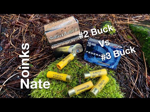 20 Gauge #3 Buck Federal vs. #2 Buck Sellier \u0026 Bellot #czusa #mossberg #ammunition
