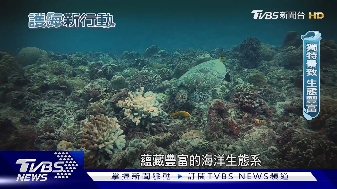 海洋生態大調查!小琉球海域魚群數量減少
