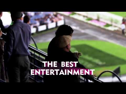 Auckland Cup Week 2014