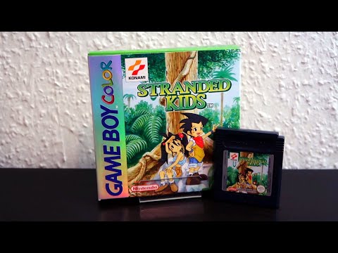 Wir sind gestrandet und müssen überleben?! [Fischies Favorites - Stranded Kids]