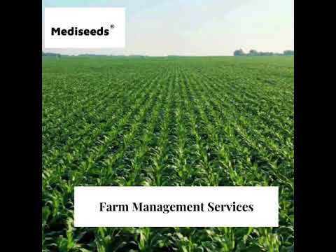 Hi-tech agriculture consultancy, type of industry business: ...