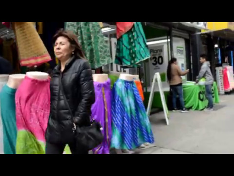 Little Guyana- Podcast by Ashley Singh