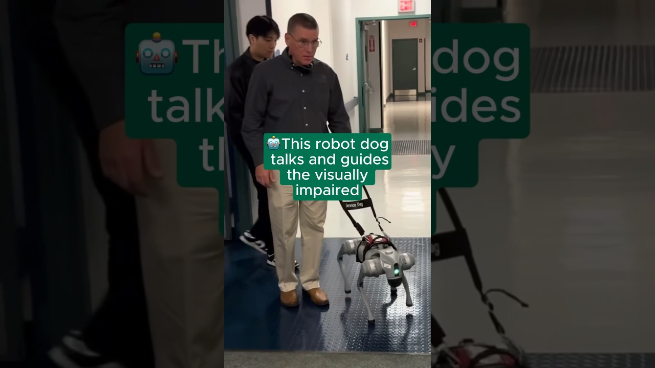 🤖These AI-Powered Guide Dogs Don&rsquo;t Just Lead &mdash; They Talk! - YouTube