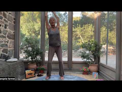 Angela Farmer: Fluid Spine from Roots to Stars