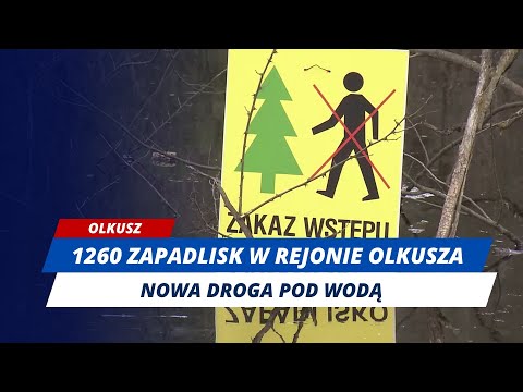 1260 zapadlisk w rejonie Olkusza. Czy pod domami może osunąć się ziemia?