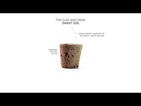 Click &amp; Grow sėklos išmaniajam vazonui - katžolė, 3 vnt. video