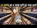 4 लाख अंडे रोज आते हैं इस पोल्ट्री फार्�