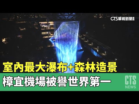 室內最大瀑布+森林造景　樟宜機場被譽世界第一