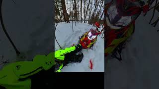 Ski Doo Freeride 800 Stuck in DEEP Snow #snowmobile #skidoo