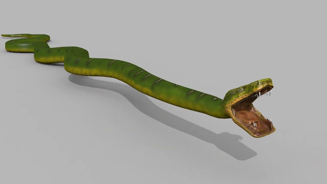 Pro Green Boa Snake - 8k - 3d animated 3D Model