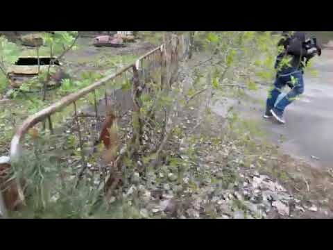 Чернобыль