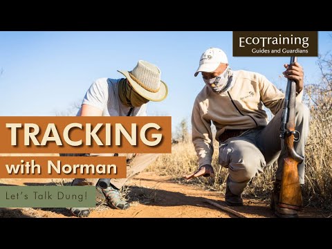 Tracking with Norman | Episode 4