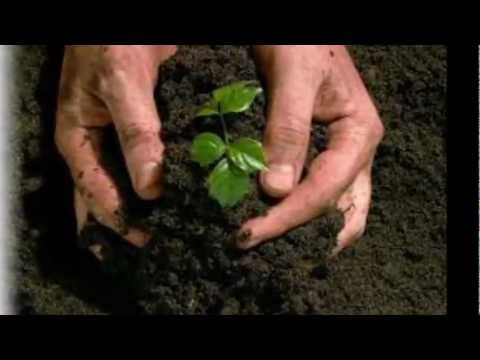 Signore fai di me un servo fedele  (Canto di Lode)