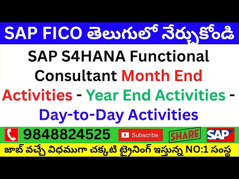 SAP S4HANA Functional Consultant Month End Activities - Year End Activities - Day-to-Day Activities