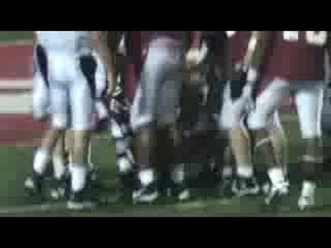 ricebirds-2008-08-29-099.mpg