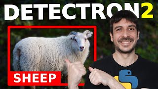 Download the video "Train detectron2 object detection custom data | Computer vision tutorial"