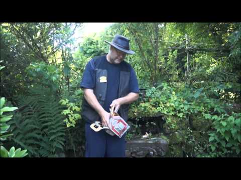 Svampodling i trädgård