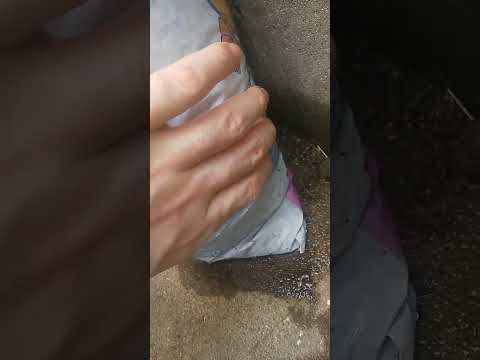 害虫を狩る植物は何ですか?げっ歯類、ナメクジ、昆虫に対する最強の防虫種！  庭園