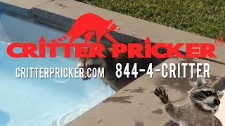 The hazards of Raccoon pooping in the pool! Critter Pricker Protects