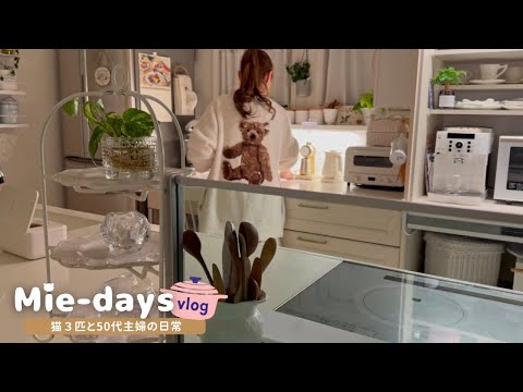 Efficient cleaning with 3 cats & a relaxing hotel day