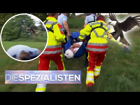 "Alle sofort runter!" 😱 Aggressiver Greifvogel geht auf Spezialisten los 🦅| Die Spezialisten | SAT.1