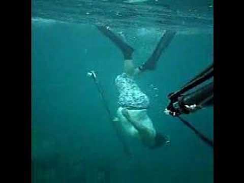 Sortie du 23/01/2008