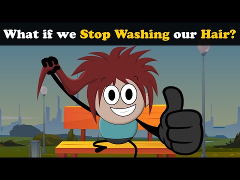 What if we Stop Washing our Hair? | #aumsum #kids #science #education #children