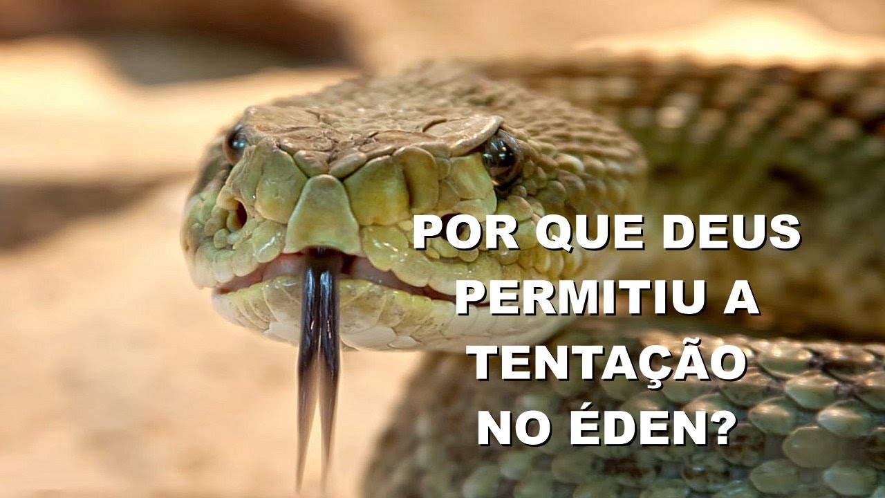 #2046 Por que Deus permitiu a tentação no Éden? - Mario Persona