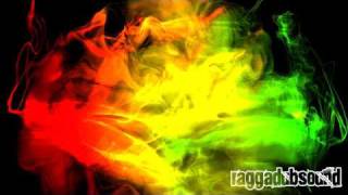 Salmonella Dub - Problems (Zion Train Version)