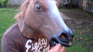 Horse beats cracker challenge!