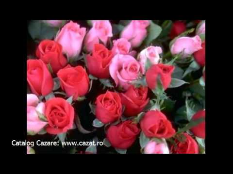 Cazare Lehancea, Bacau - Cazat.ro