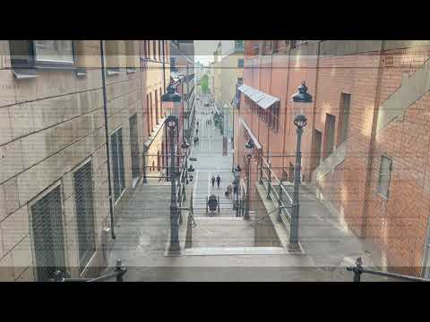 PALMEMORDET EFTERSNACKET 5 - DREVET MOT CA