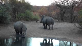 preview picture of video 'Botswana 2011-10-10 17-54-00.mp4'