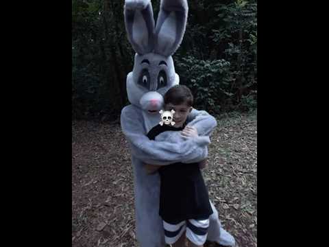 O Ricardinho atacou o coelho ☠️ #taspio