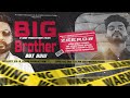 Big Brother (Official Video)| Zeero || Music Beat Farmer || Punjabi Song 2022|| Hit Star Records