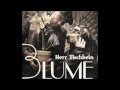 Herr Tischbein - Blume 