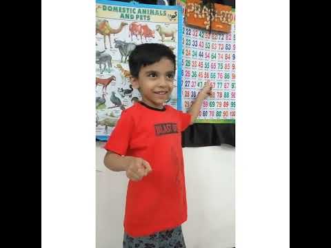 domestic animals and pet with masti of Prashil and Pranil