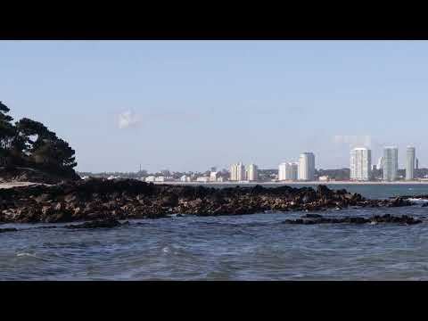 Punta del Este desde Isla Gorriti 5 - 2022 11