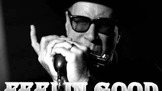 Mark Hummel - Odds And Ends - 1982 - Feelin Good - Dimitris Lesini Blues