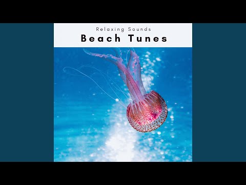 Calming Sea Music part 2