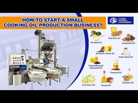 How to Start a Small Cooking Oil Production Business?|Automatic Screw Edible Seeds Oil Press Machine