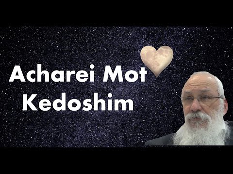 Parsha Acharei Mot - Kedoshim with Chassidic Insights by Rabbi Yosef Shusterman