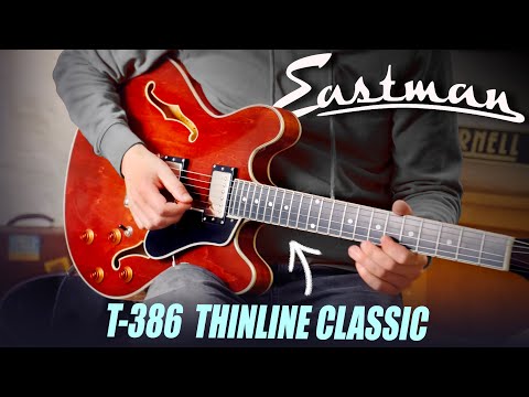 Eastman T386 2010s - Sunburst image 10