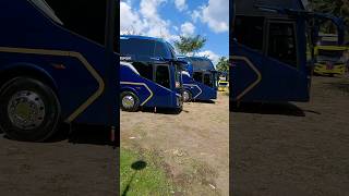 Download lagu Putri Tunggal #shorts mp3