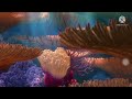 Finding Nemo UK DVD Menu