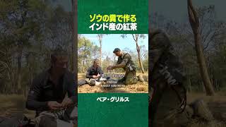 インド産の紅茶とは？#ディスカバリーチャンネル #shorts (ディスカバリーチャンネル)
