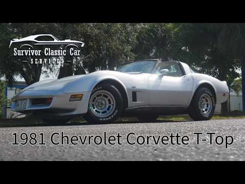 1980 Chevrolet Corvette (CC-2092364) for sale in Palmetto, Florida