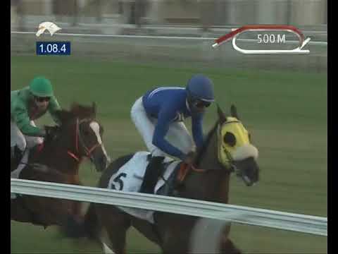 11th Race Meeting of Season 2017 / 2018