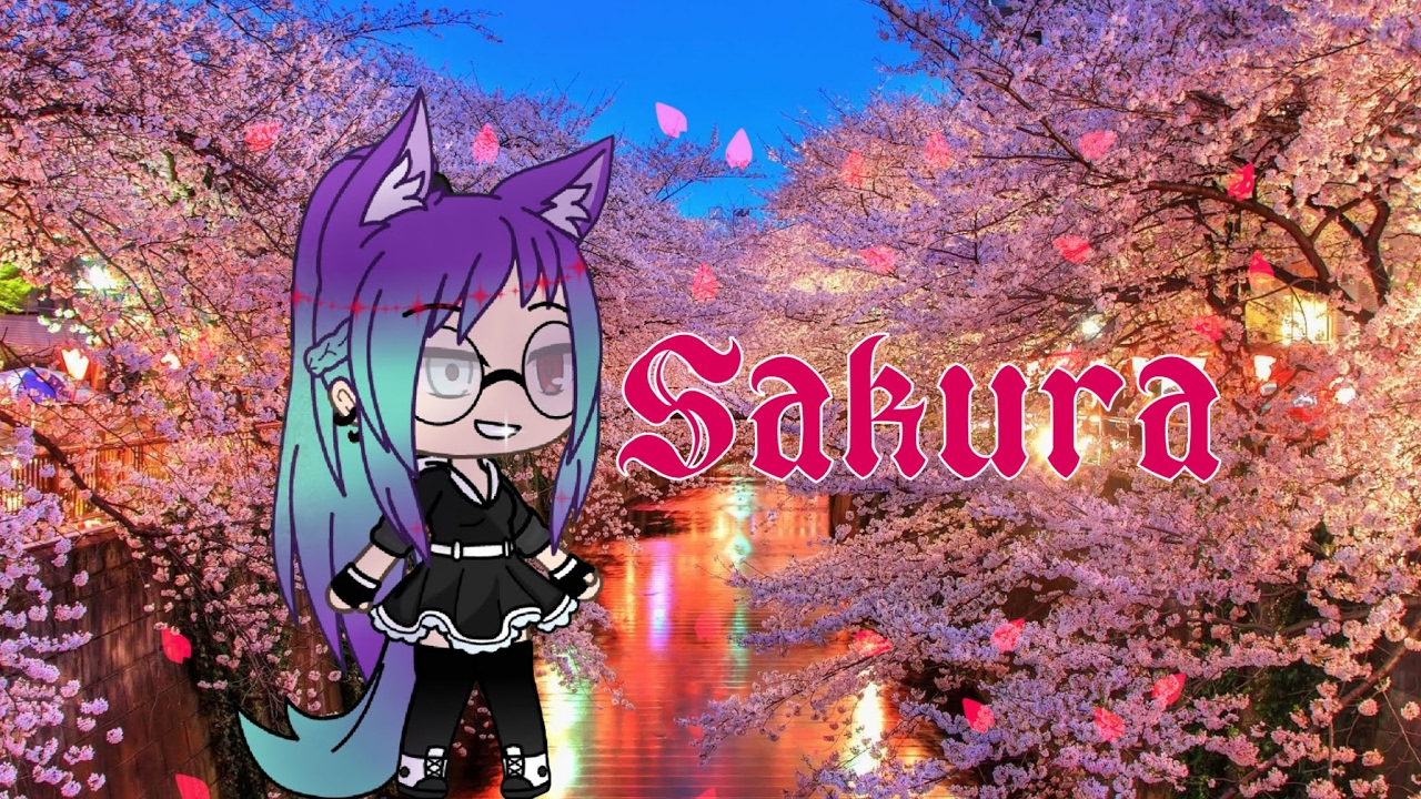 Live stream di Sakura Playz