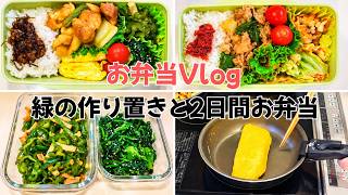 ピーマンを使い切る作り置き｜2日分のお弁当に回す【お弁当vlog】#10